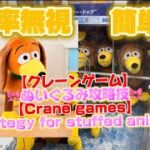 【クレーンゲーム攻略】【Crane games】胴長のぬいぐるみの取り方！トイストーリー/スリンキー　toy story/slinky dog