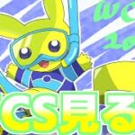 【ポケモンWCS2024】カードとゲームの決勝戦（と最新情報）を見よう！！！！！！！【Pokémon WCS 2024 TCG・VGC】