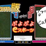 【ぷよぷよeスポーツ】ニチアサSteamぷよぼ15先　20240825