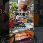 【クレーンゲーム】完全攻略法教えます！#クレーンゲーム #クレーンゲーム攻略 #shorts