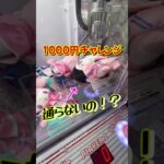 ぬいぐるみが欲しければ押し込め！#クレーンゲーム #shorts #short #攻略 #コツ #ufoキャッチャー #clawmachine #shortvideo