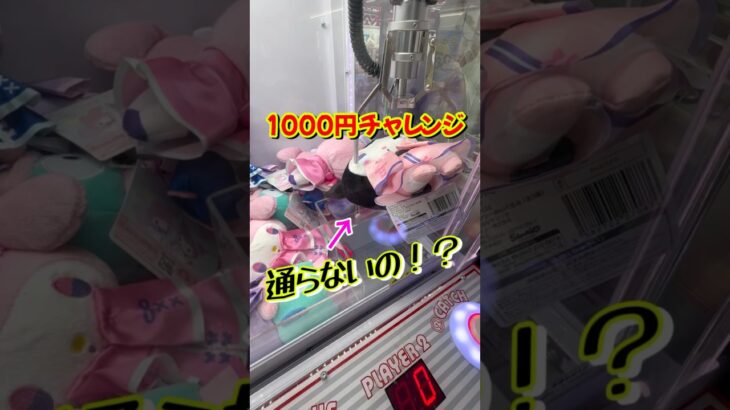 ぬいぐるみが欲しければ押し込め！#クレーンゲーム #shorts #short #攻略 #コツ #ufoキャッチャー #clawmachine #shortvideo