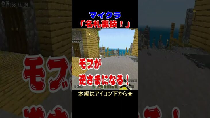 【マイクラ】名札裏技#マインクラフト #まいくら #裏技 #shots