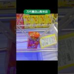 【クレーンゲーム攻略】万代書店山梨本店のufoキャッチャーで色んなお菓子をゲット #shorts