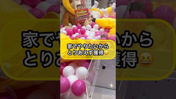 【クレーンゲーム攻略】コレを家でやりたいから…とりあえず獲得‼︎