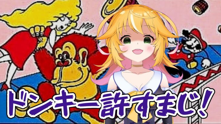 【ドンキーコング】マリオとドンキーが敵同士？！