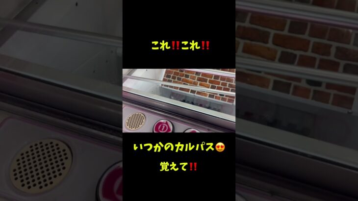 【クレーンゲーム】#ワンパン#裏技#攻略#テクニック#クレーンゲームの沼さん#クレーンゲーム