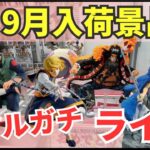 【ライブ中継】9/12 ベネクス川崎でクレーンゲーム攻略新景品祭り！リアルガチチャレンジ！