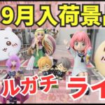 【ライブ中継】9/13 ベネクス川崎でクレーンゲーム攻略新景品祭り！リアルガチチャレンジ！