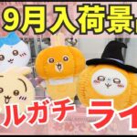 【ライブ中継】9/23 ベネクス川崎でクレーンゲーム攻略新商品祭り！リアルガチでチャレンジ！