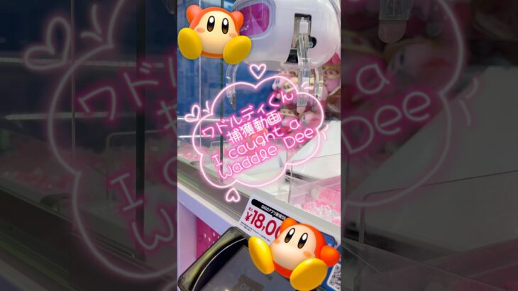 【クレーンゲーム】【Crane games】🎀ワドルディ🎀🎀 Kirby Waddle Dee🎀#クレーンゲーム攻略  #cranegame #カービィ #ワドルディ #kirby