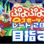 【横】こんにちレート＆ぷよぼ　ぷよぷよeスポーツ