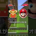 「マリオ」と「マイクラ」まさかの共通点？！【マイクラ豆知識 解説 裏技】