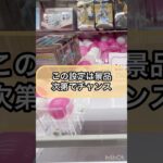 【クレーンゲーム攻略】この設定は…景品次第でチャンス！！