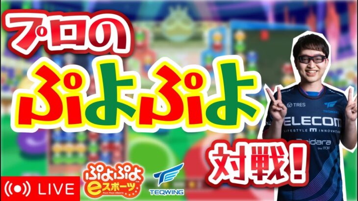 プロのぷよぷよ対戦！104 vs MGRプロ→なしープロ 10n先 【ぷよぷよeスポーツ/縦型配信】