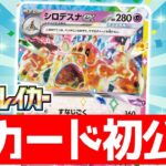 【初公開】どんなポケモンでも残りHP100に！？新登場のシロデスナexを解説！【超電ブレイカー/ポケカ/ポケモンカード】