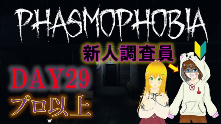 【Phasmophobia/ファスモフォビア】＃29      #ゲーム実況　#ちだまーチャンネル　#ホラゲー　#phasmophobia   #ファスモフォビア