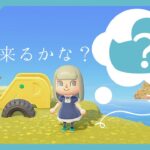 【#あつ森 】【#ゲーム実況 / gameplay】ようこそ！フョムネユネユ島へ【天泣しるく】【個人Vtuber】