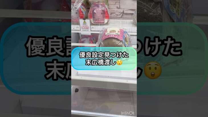 【クレーンゲーム攻略】優良設定見つけた‼︎末広橋渡し‼︎