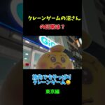 ぬいぐるみ二本爪は？頭から攻める‼️#クレーンゲームの沼さん#クレーンゲーム#攻略#裏技