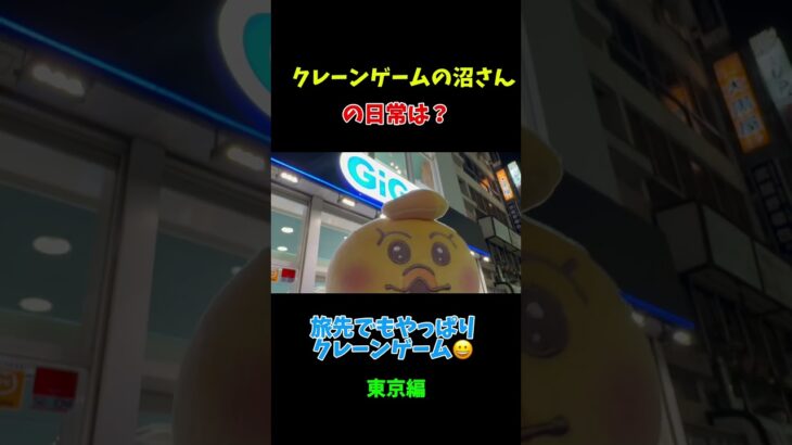 ぬいぐるみ二本爪は？頭から攻める‼️#クレーンゲームの沼さん#クレーンゲーム#攻略#裏技