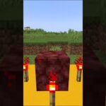 マイクラの隠しキャラを召喚させる裏ワザが面白過ぎるwww【マインクラフト】#minecraft #shorts