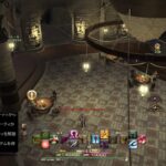 71歳のゲーム実況　　FF14　#568　極エターナルクィーンいきましょう2回目