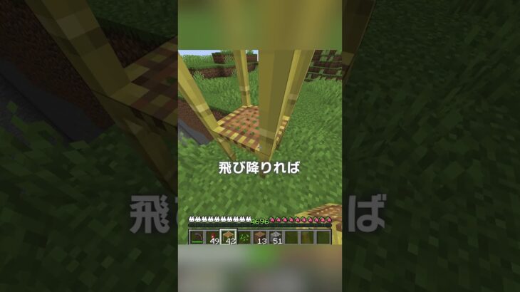 世界一難しい進捗？！【マイクラ豆知識 解説 裏技】