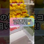 【クレーンゲーム攻略】この仕草はココが狙い目です‼︎