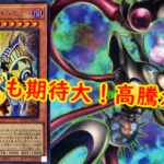 【遊戯王　高騰】今後にも期待大！遊戯王最新高騰情報【　最新高騰情報　遊戯王最新情報　スプリームダークネス　】