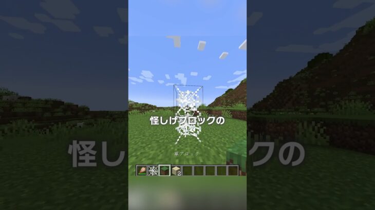 実はゲットできる謎アイテム？！【マイクラ豆知識 解説 裏技】