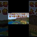 マイクラのとんでもない裏技3選【マイクラ】【ゲーム実況】