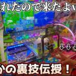 【メダルゲーム】視聴者に呼ばれたと思ったら裏技を教えてくれた！？#桃太郎電鉄