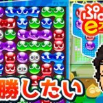 今年もぷよぷよ10連勝目指す！！！｜ぷよぷよeスポーツ