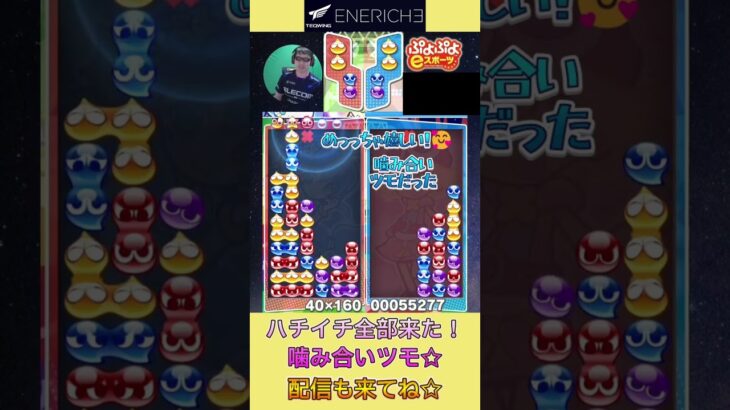 ハチイチ全部来た！噛み合いツモ☆【ぷよぷよeスポーツ】#shorts