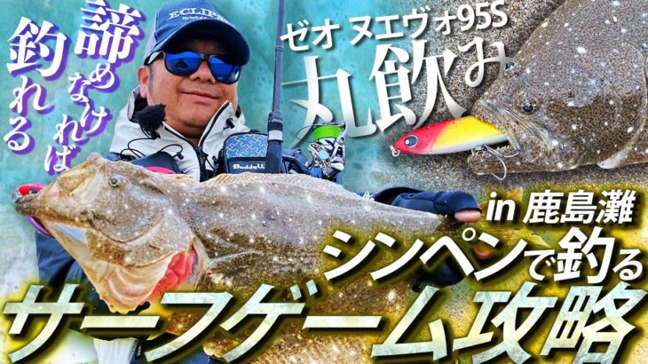 【諦めなければ釣れる】シンキングペンシルで釣る、サーフゲーム攻略！in 鹿島灘