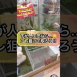 【クレーンゲーム攻略】下が人工芝なら…アレ狙いで取ろう！！