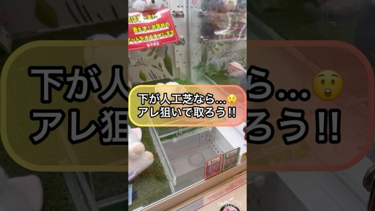 【クレーンゲーム攻略】下が人工芝なら…アレ狙いで取ろう！！