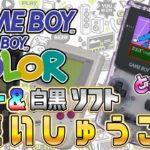 ゲームボーイカラー&GBソフト大集合『レトロフリーク』にインストール2 ときメモもあるよ！（Install Retro GameBoy on “RetroFreak”）【ドグマ風見のゲーム実況】