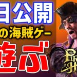 【龍が如く８外伝】求めていた真の海賊ゲー！新作アクションRPGはどんなゲーム？おもしろい？実際に遊んでみるぞ！【Pirates in Hawaii】ネタバレあり