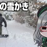 深夜に労働する私をみんながお布団の中から眺める配信【 SnowPlowingSimulator VTuber 河崎翆 ゲーム実況 】