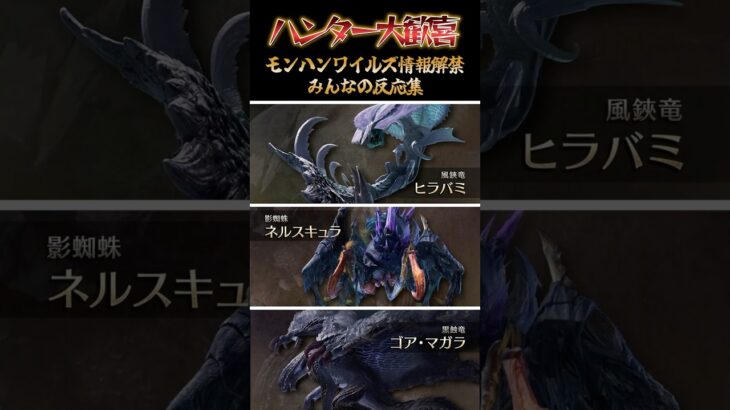 モンハンワイルズ最新情報きたー！！新モンスター&復帰、続投モンスター最高すぎ！！ #mhws #モンハンワイルズ #ワイルズ #PS5 #Steam #ヒラバミ #ネルスキュラ #ゴアマガラ