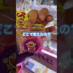 パパでしょ⁉️ #shorts #クレーンゲーム #クレーンゲーム攻略  #ゲームセンター  #arcadegames #clawmachine #clawmachinejapan #おたちゅう