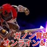 【スマブラsp】ガノン育成　#スマブラ #スマブラsp #ゲーム実況 #shorts