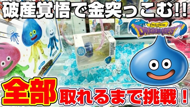 【クレーンゲーム＆開封】裏技見つけた…！！ドラクエの新景品を全種類取れるまで挑戦！！『ドラゴンクエスト(DQ)☆キラキラフィギュア・ホイミスライムと仲間たち登場編』Dragon Quest/2025