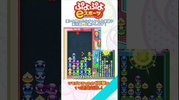 【#ぷよぷよeスポーツ 】ツモがよかったので即撃ち14連鎖全消し！ #puyopuyo #shorts