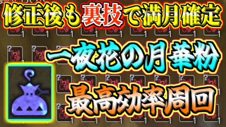 【モンハンワイルズ】裏技で修正後も最高効率！一夜花の月華粉無限入手で装飾品とアーティア素材が稼ぎ放題！金の錬金遺物チケットとギルドポイント稼ぎ 古びた武器片をマカ錬金！ 【モンスターハンターワイルズ】